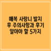 매복 사랑니 발치 후 주의사항과 후기: 알아야 할 5가지