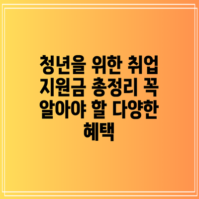 청년을 위한 취업 지원금 총정리: 꼭 알아야 할 다양한 혜택