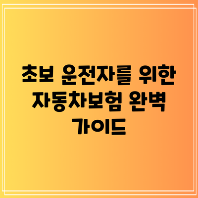 초보 운전자를 위한 자동차보험 완벽 가이드