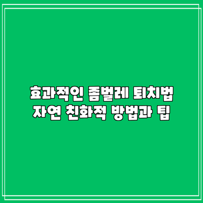 효과적인 좀벌레 퇴치법: 자연 친화적 방법과 팁