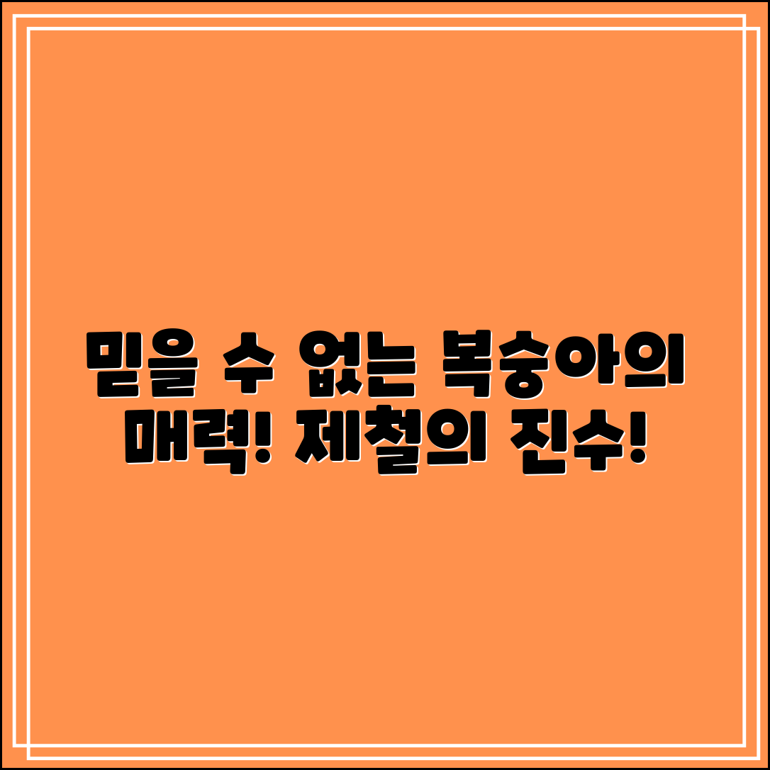 믿을 수 없는 복숭아 제철의 진짜 매력!