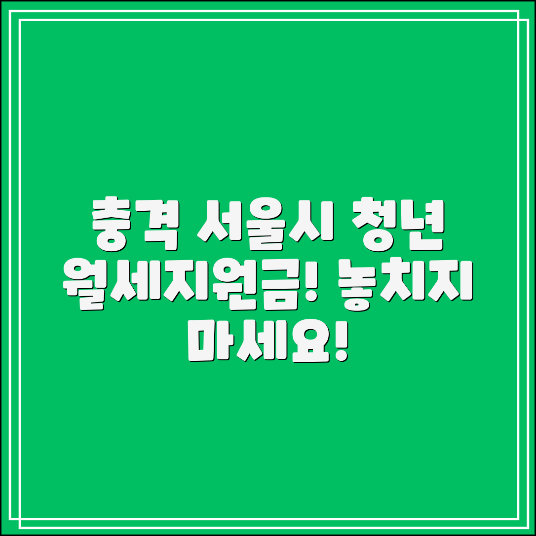 충격적인 서울시청년월세지원금, 당신이 놓친 기회!