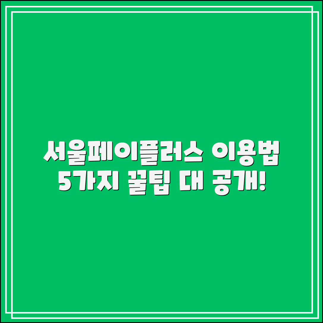 서울페이플러스 이용법 5가지 팁