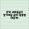 관악 새마을금고 정기예금 금리 활용법